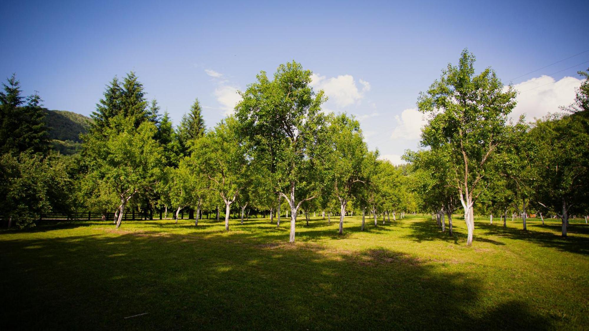 Ethno Village Stitarica Mojkovac Exterior foto